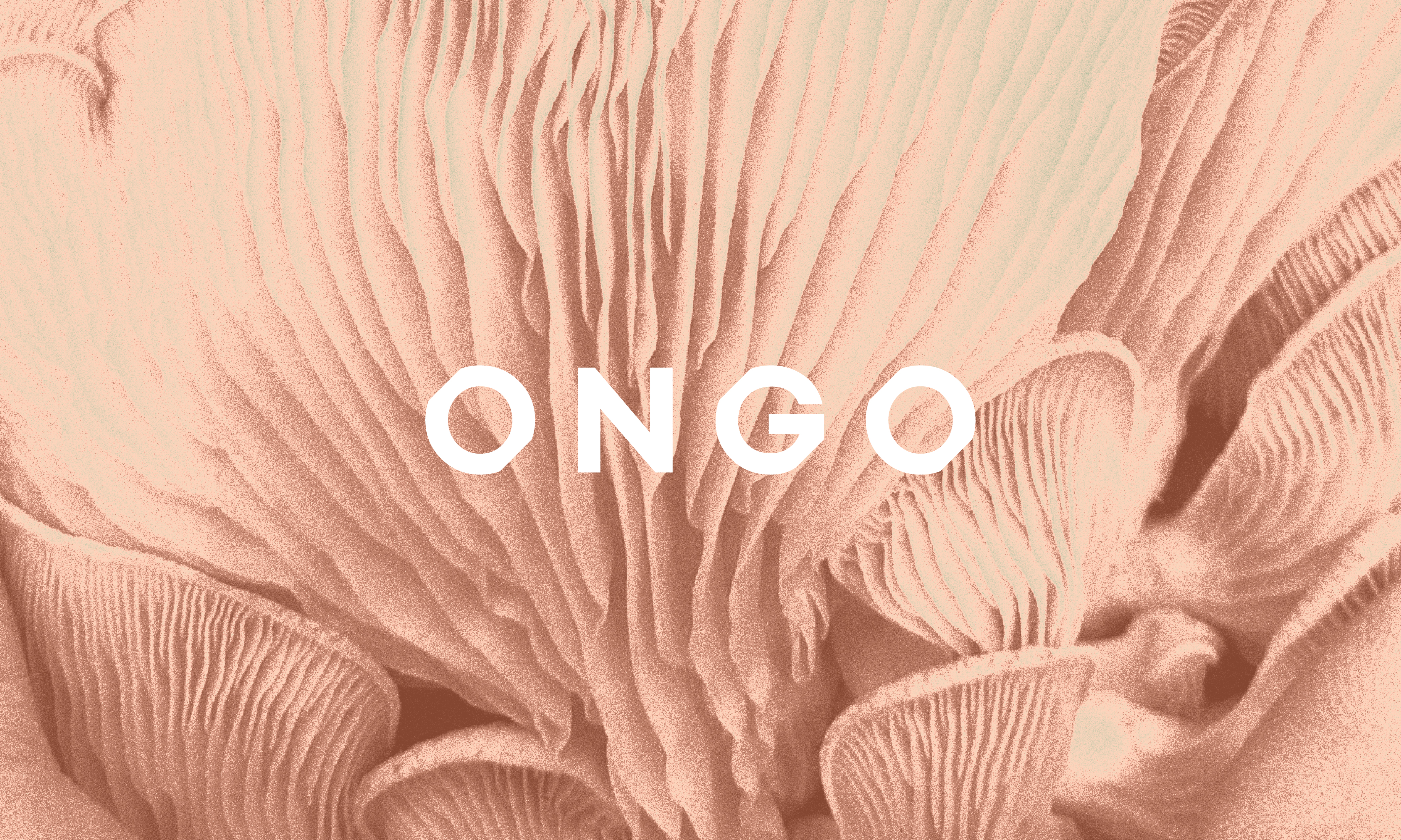 Ongo