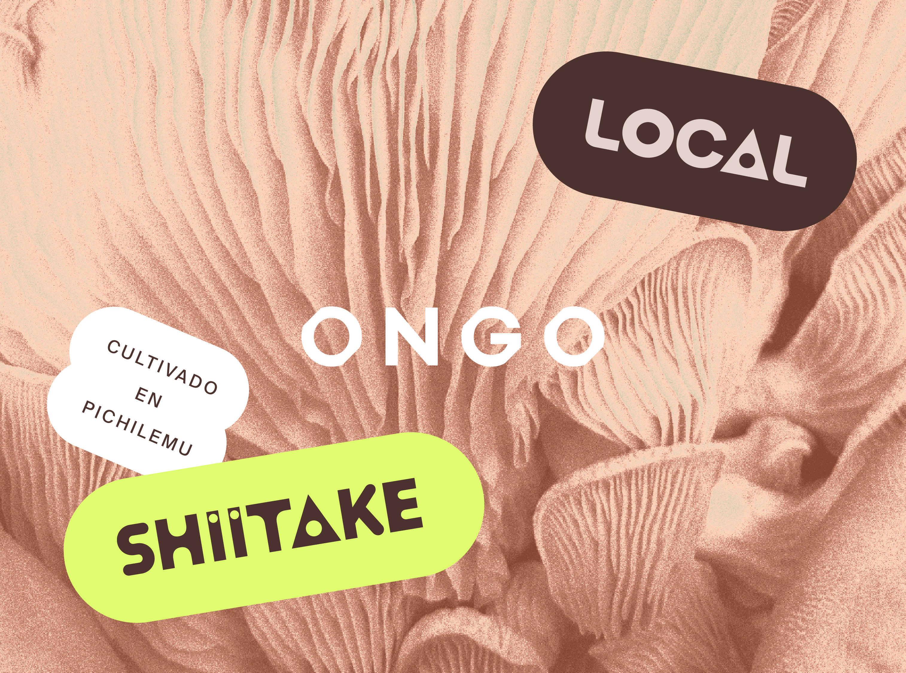 Ongo